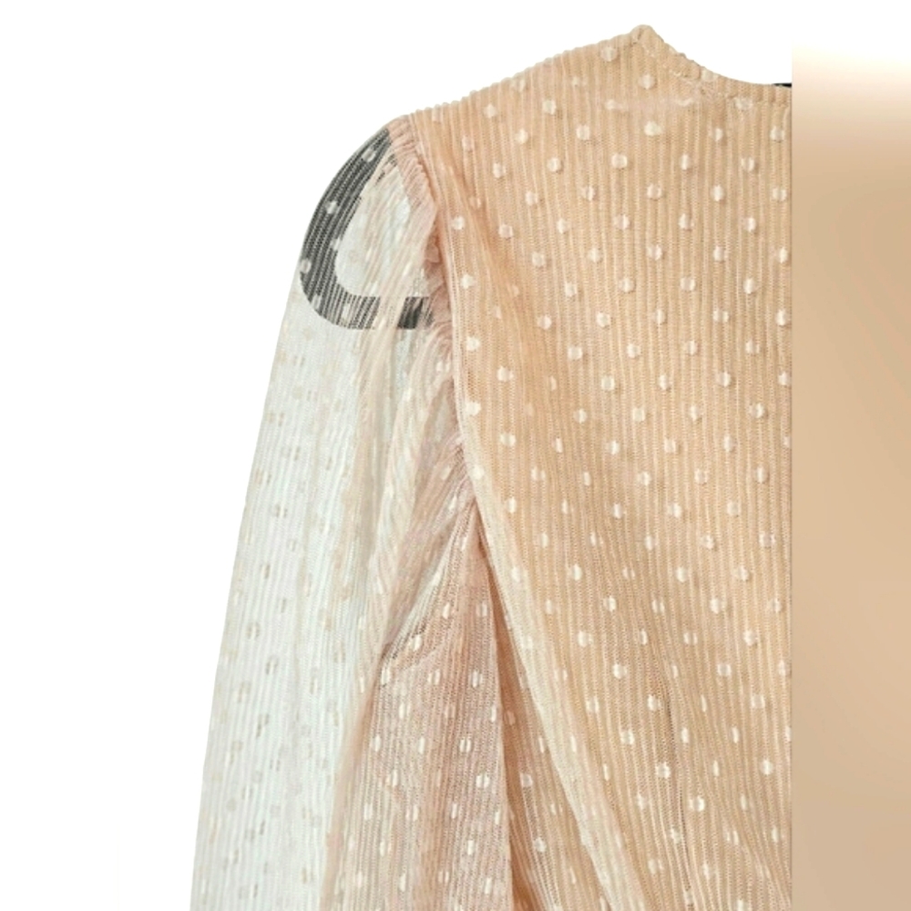 NEW Endless Rose Anthropologie Sheer Nude Pink Ruched Mini Dress Swiss Polka Dot - Picture 4 of 16